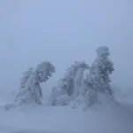 Harzer Ferienlodge Apartment