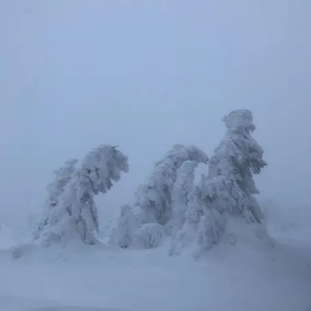 Harzer Ferienlodge Appartement