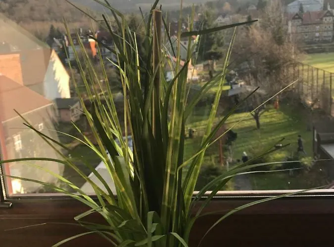 Appartement Harzer Ferienlodge Wernigerode