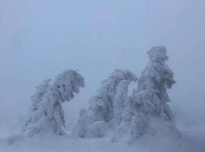 Harzer Ferienlodge Lägenhet